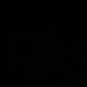 Meet your Posher, Talyn